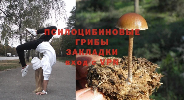 мескалин Абаза