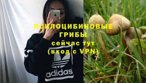 амф Абинск
