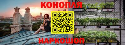 PSILOCYBIN Малоярославец