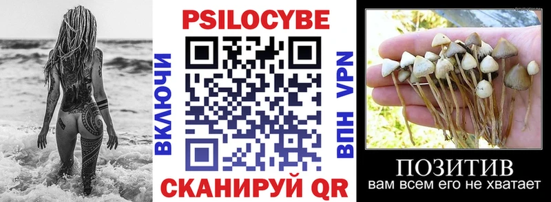 цена   Комсомольск-на-Амуре  ОМГ ОМГ как зайти  Галлюциногенные грибы мицелий 
