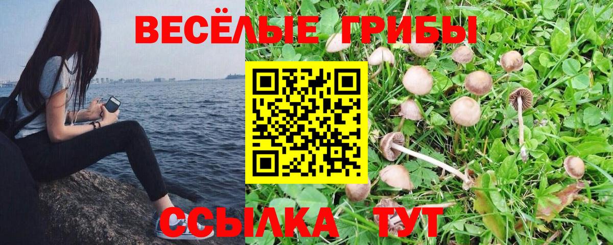 Галлюциногенные грибы Psilocybe  Вход с VPN  Псилоцибиновые грибы мухоморы  Комсомольск-на-Амуре 